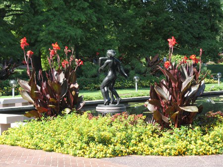 Some Like it Hot: The Best Hardy Summer Plants