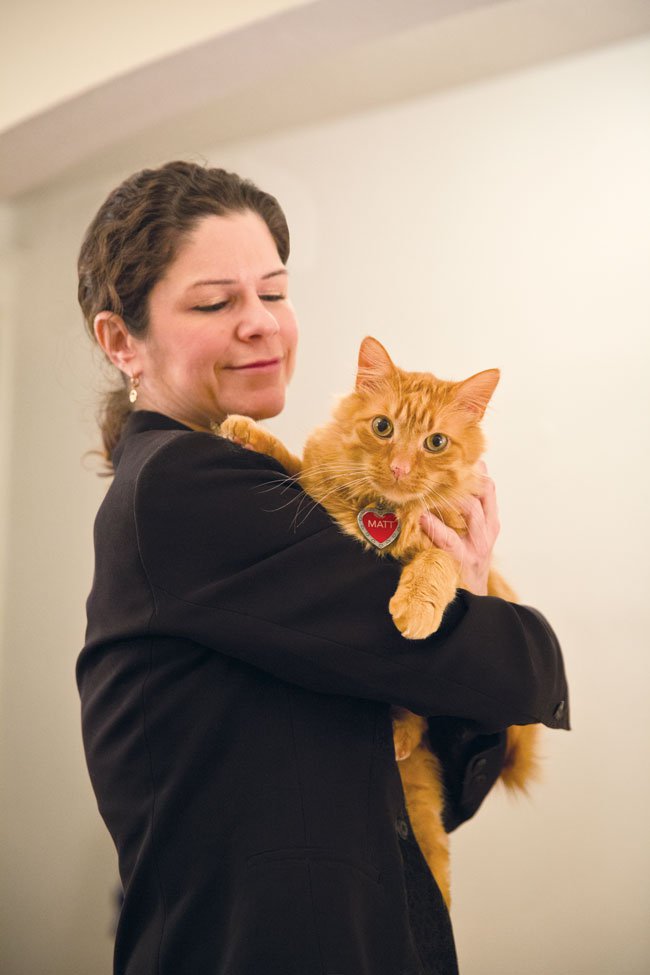 20160212_MattTheCat_0134.jpg