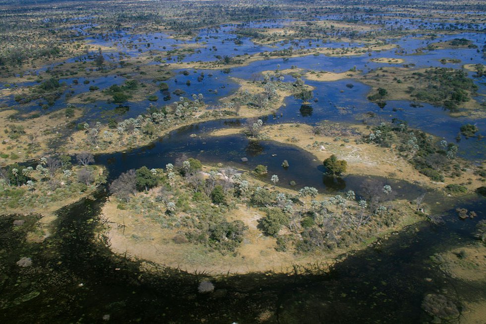 Okavanga-Delta-Botswana03.jpg