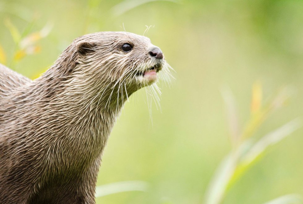 Top 5 Family-Friendly Events This Weekend: October 1–2
