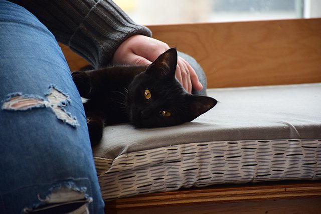 dsc_0724_web.jpg