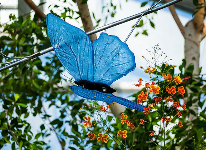 The world’s largest kiln-fired glass exhibit opens at the Missouri Botanical Garden