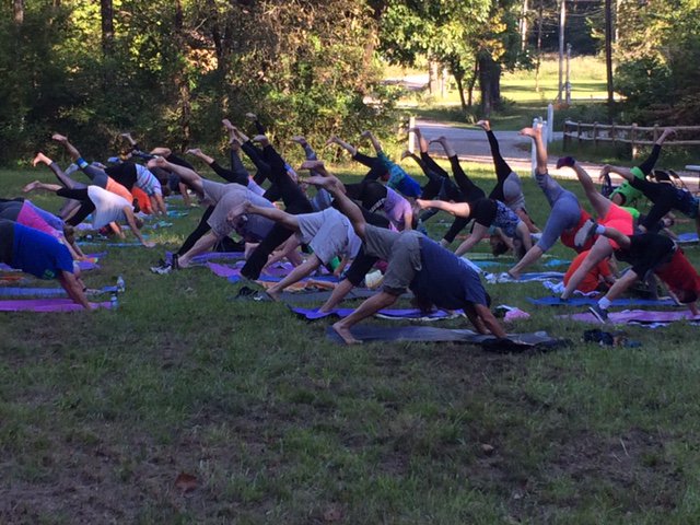 Do yoga for the wolves this weekend