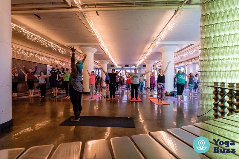 Yoga%20Buzz%20City%20Museum%20Yoga_web.jpg