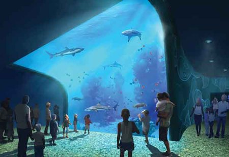 A year before St. Louis Aquarium is slated to open, new Springfield aquarium Wonders of Wildlife records 1.6 million visitors