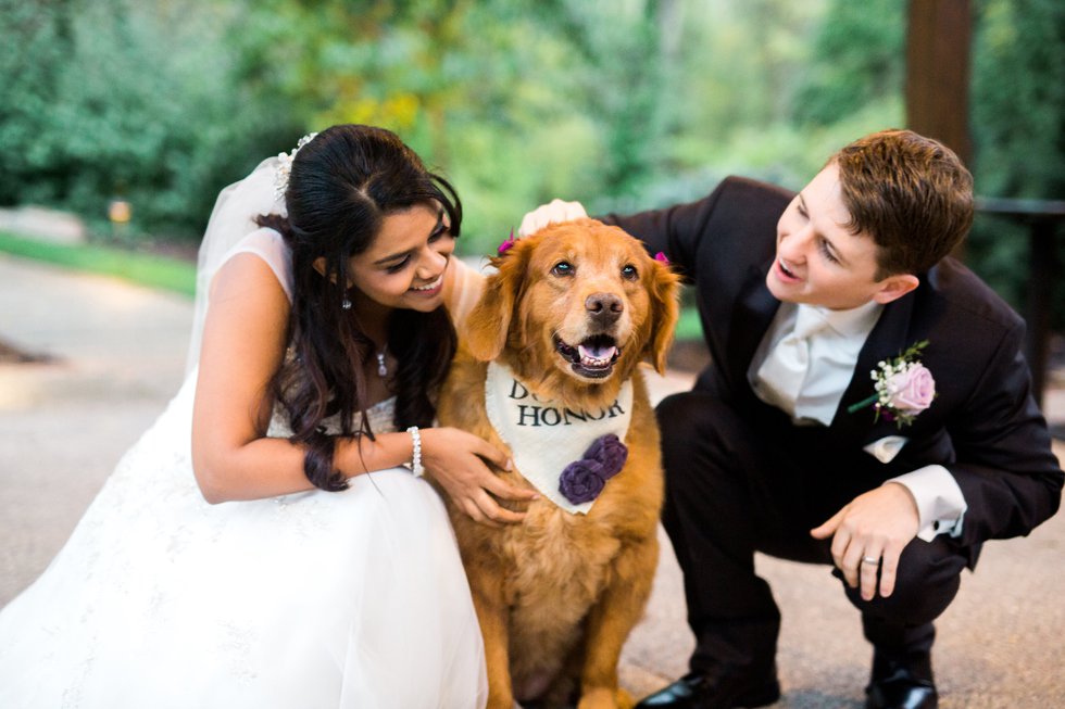 This dog of honor stole the show at a fall St. Albans wedding