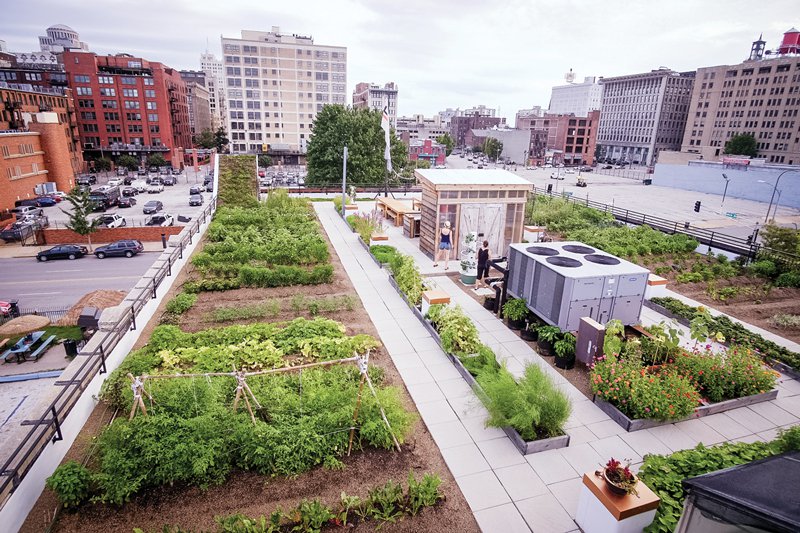 urban_harvest_stl.jpg