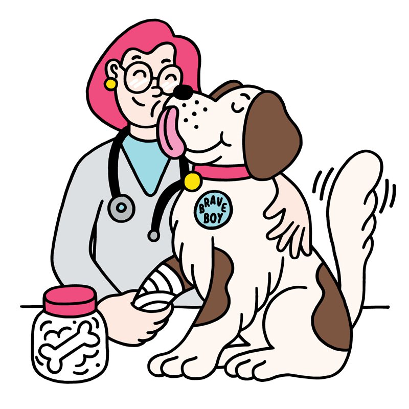 Fear-Free care makes a trip to the vet as relaxing as a romp in the dog park