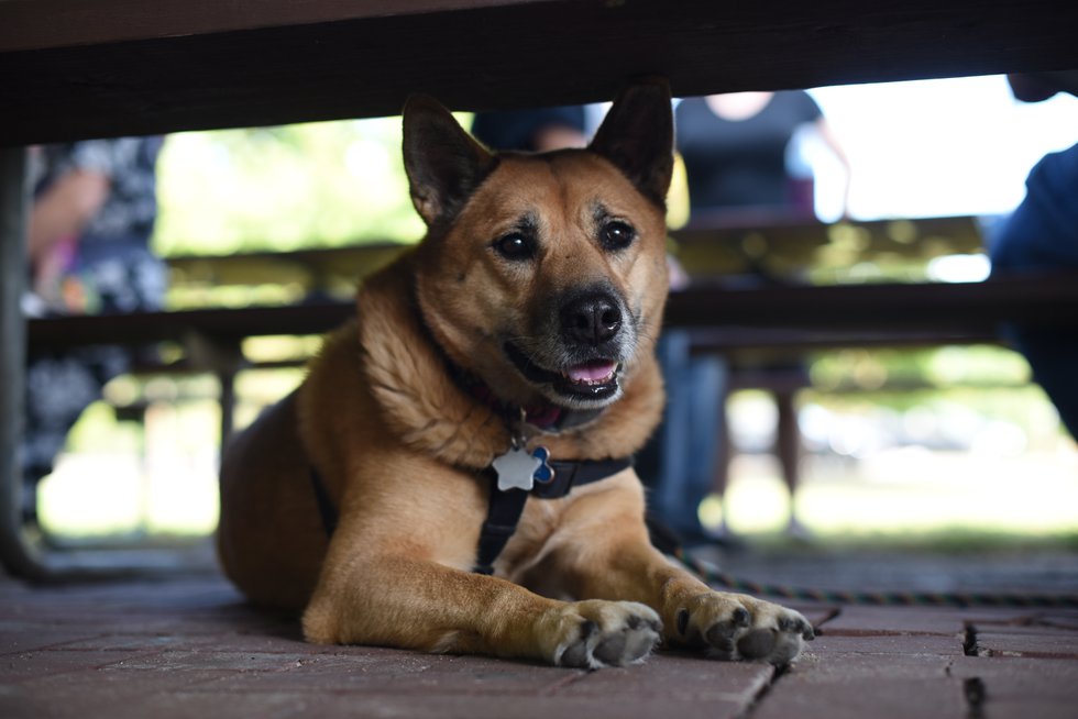 DSC_5040.jpg