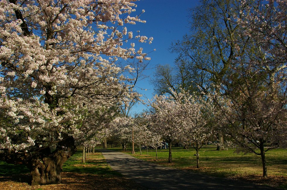 IMGP1448.JPG