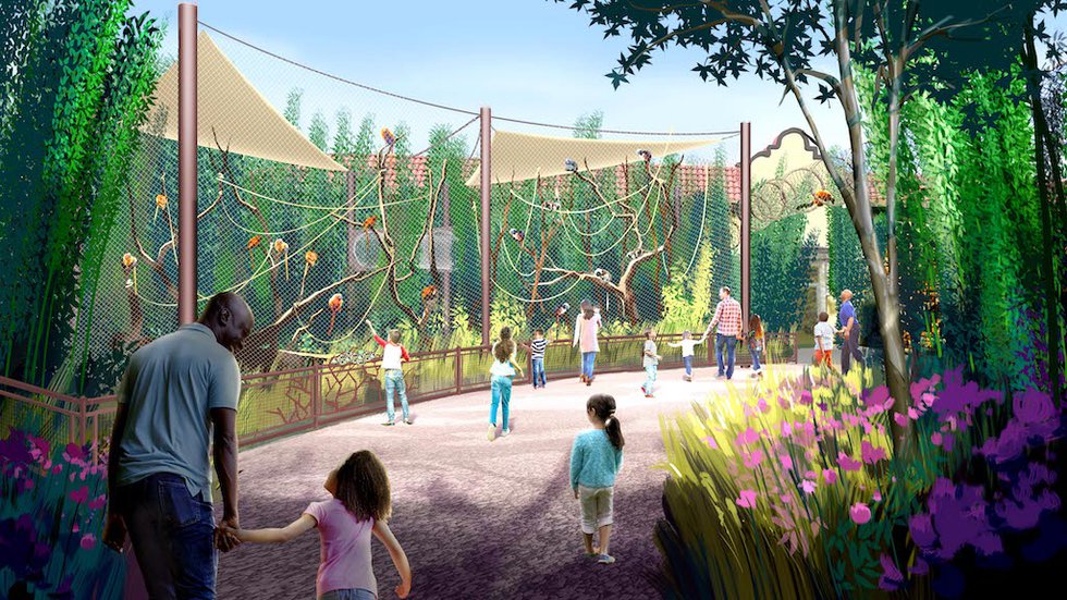 8_Callitrichid%20Crossing%20rendering_Primate%20Canopy%20Trails%20Saint%20Louis%20Zoo.jpeg