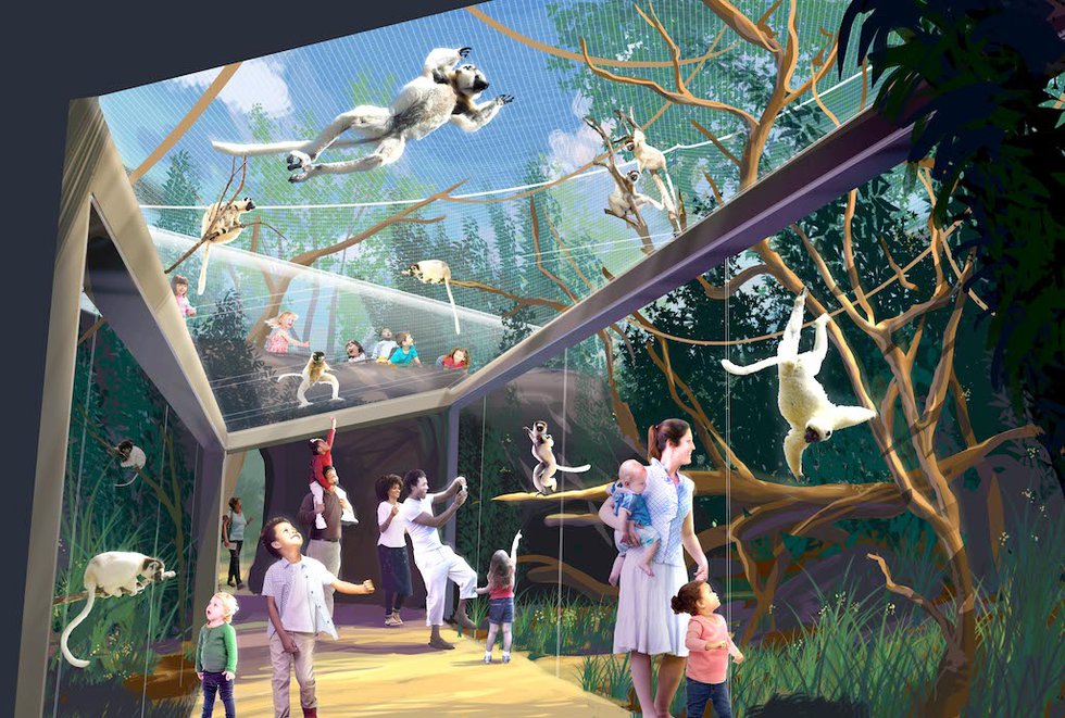 5_Primate%20Panorama%20Inside%20rendering_Primate%20Canopy%20Trails%20Saint%20Louis%20Zoo.jpeg