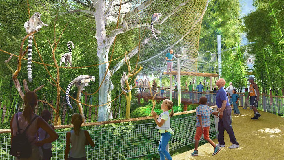 7_Sycamore%20Sanctuary%20rendering_Primate%20Canopy%20Trails%20Saint%20Louis%20Zoo.jpeg