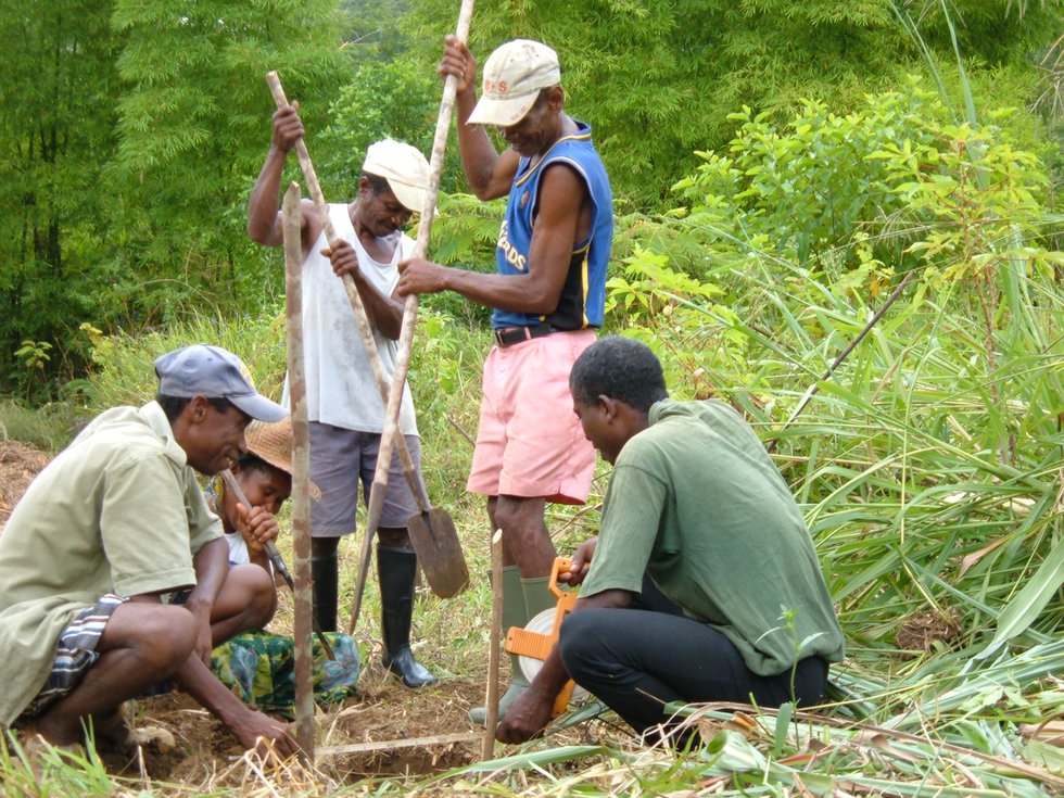Villagers%20with%20native%20trees%20planted%20in%20Betampona%20ZOP%20%283%29.JPG