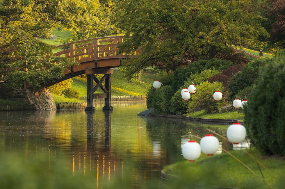 2017%20September%2C%20Japanese%20Festival%2C%20Japanese%20Garden%2C%20Drum%20Bridge%2C%20Lanterns%2C%20Kent%20Burgess_.jpg