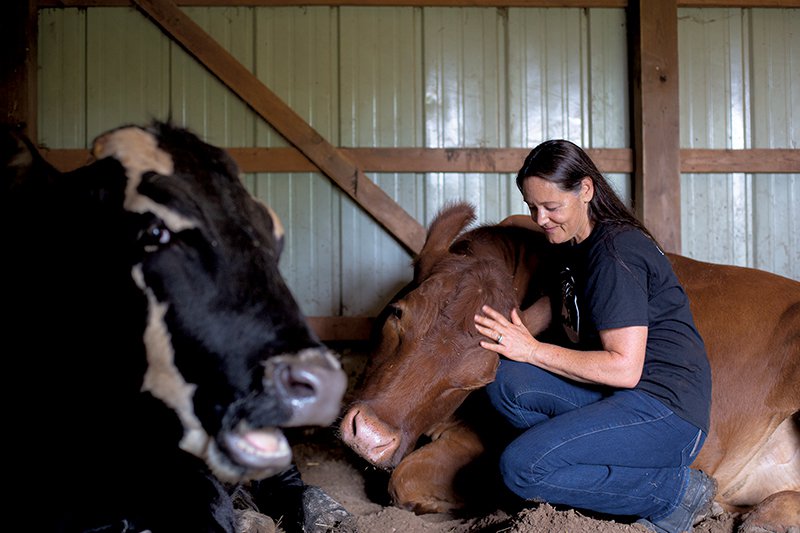 Cuddle a cow at the Gentle Barn and find a story of mutual redemption