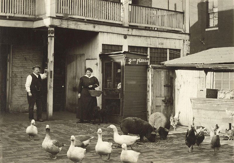 A historic look back at Plum Street in St. Louis