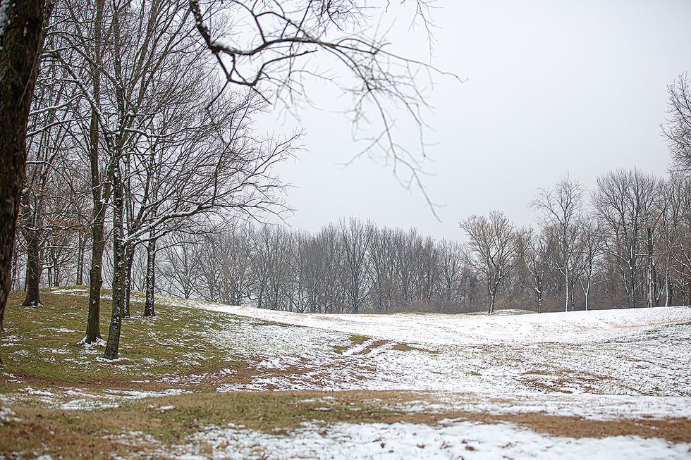 20200113_ZooNorth_0253.jpg