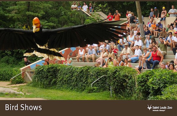 Rendering_Bird%20Shows_Saint%20Louis%20Zoo.jpg