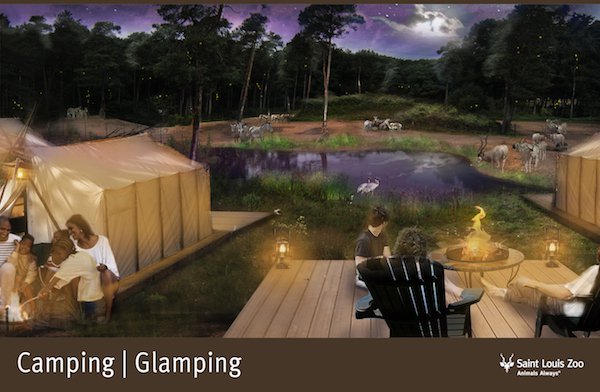 Rendering_Camping%20Glamping%202_Saint%20%20Louis%20Zoo.jpg