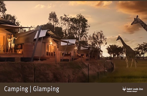 Rendering_Camping%20Glamping_Saint%20Louis%20Zoo.jpg