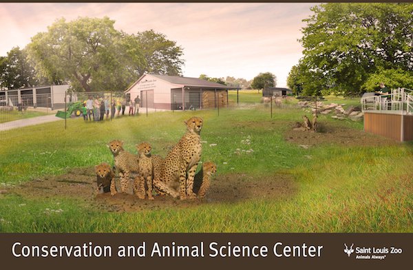 Rendering_Conservation%20%26%20Animal%20Science%20Center_Saint%20Louis%20Zoo.jpg