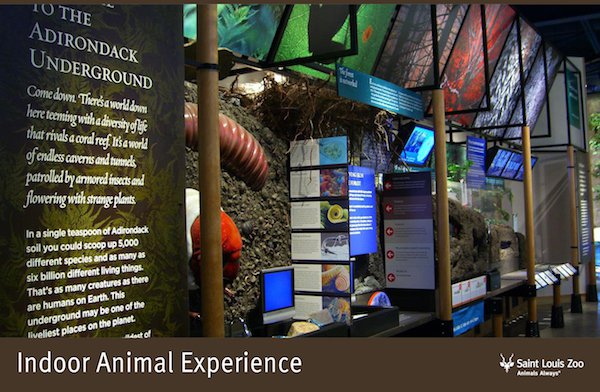Rendering_Indoor%20Animal%20Experiences_Saint%20Louis%20Zoo.jpg