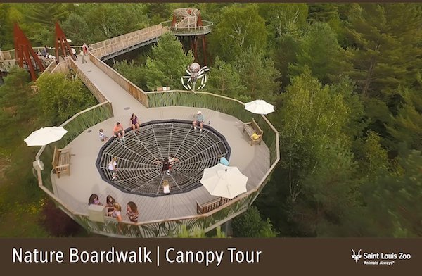 Rendering_Nature%20Boardwalk%20Canopy%20Tour%202_Saint%20Louis%20Zoo.jpg