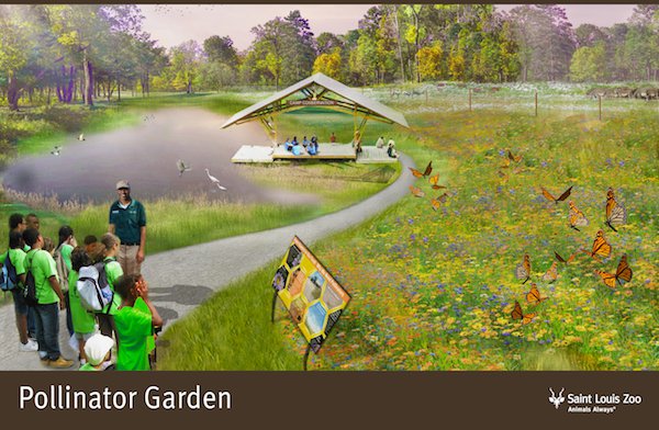 Rendering_Pollinator%20Garden_Saint%20Louis%20Zoo.jpg
