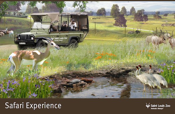 Rendering_Safari%20Experience_Saint%20Louis%20Zoo.jpg