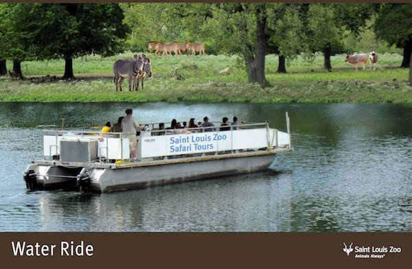 Rendering_Water%20Ride_Saint%20Louis%20Zoo.jpg