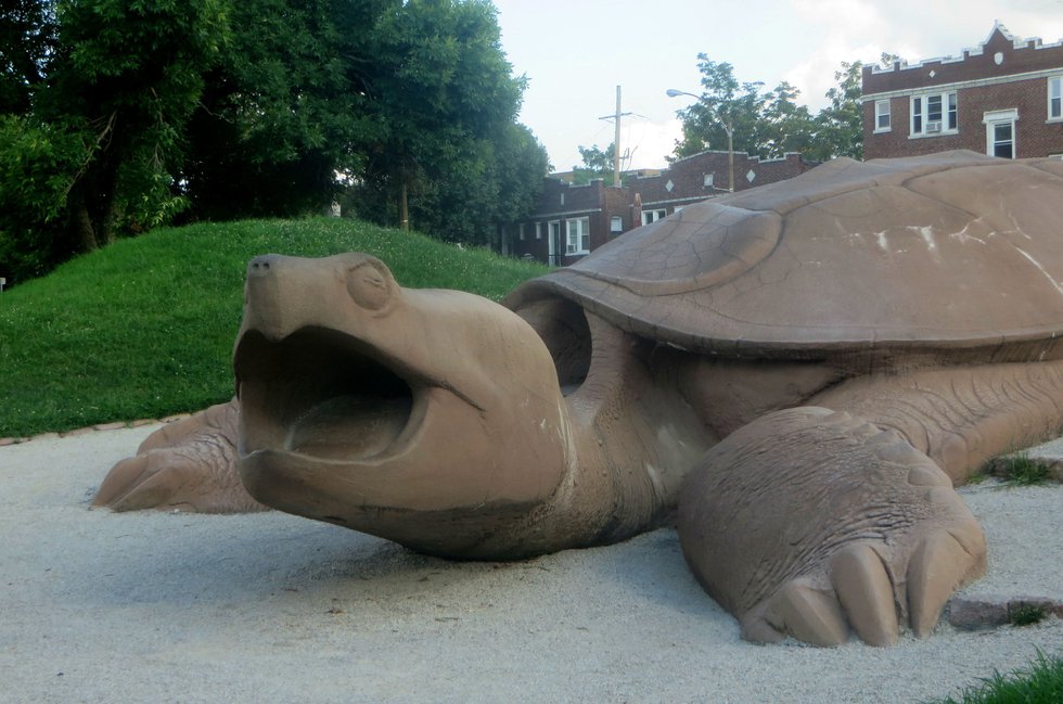 Turtle%20Park.jpg