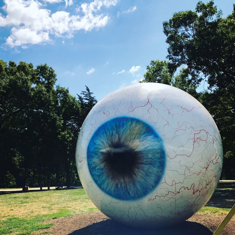 Eye%20at%20Laumeier.jpg
