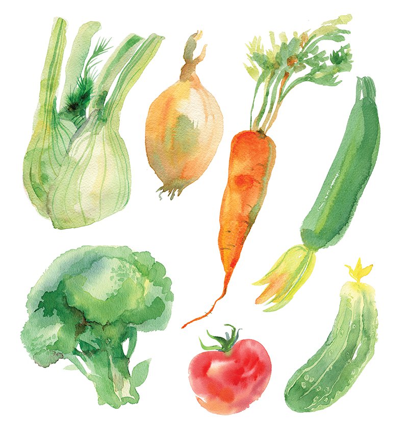 How to grow your own salad garden at home