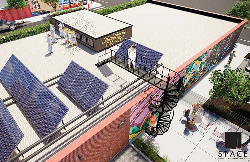 A sweet collab brings honeybees to a rooftop in The Grove