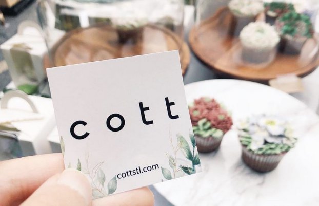 Cott1_1.PNG