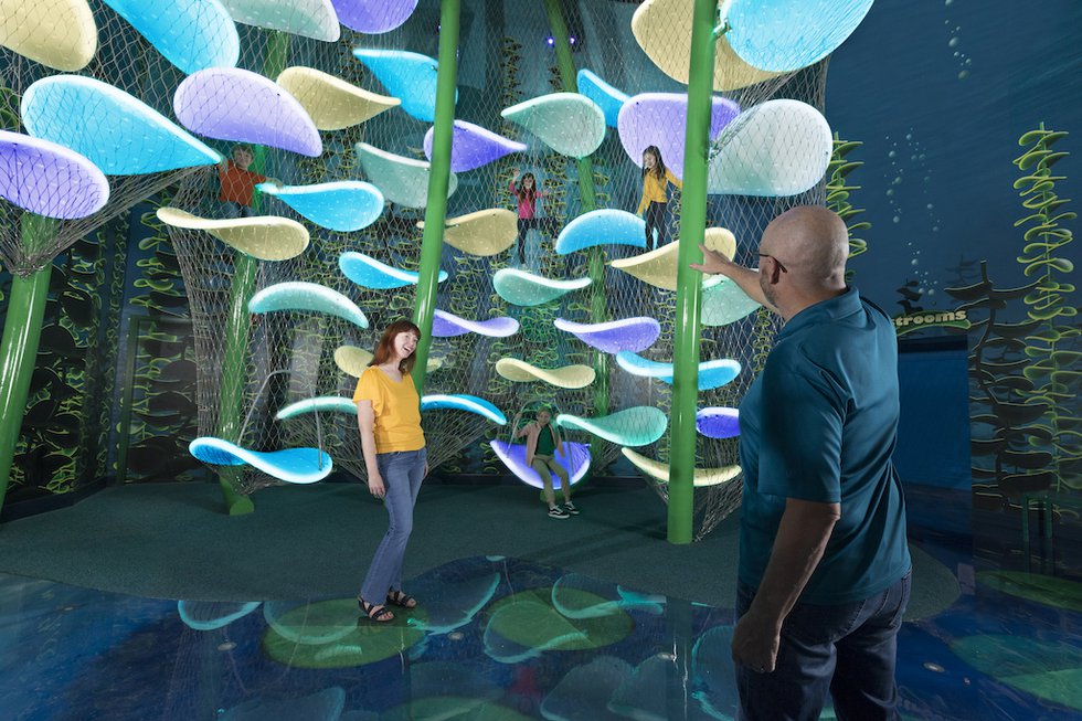 8%20-%20PHOTO_ATBB_Kelp-Climber-2.jpeg