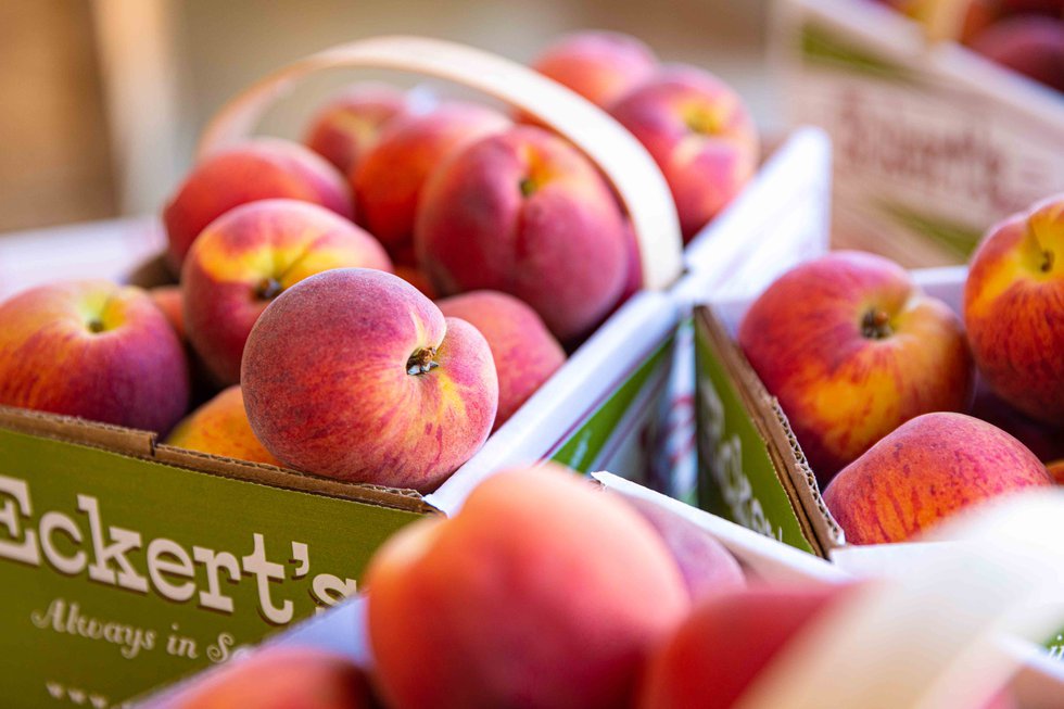 Eckert’s pop-up market now open in Rock Hill
