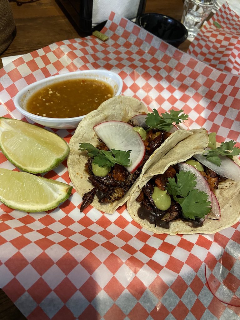 Chorizo%20Chapulines.jpg