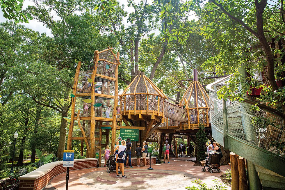 20210819_STLZooPrimateCanopy_0029.jpg