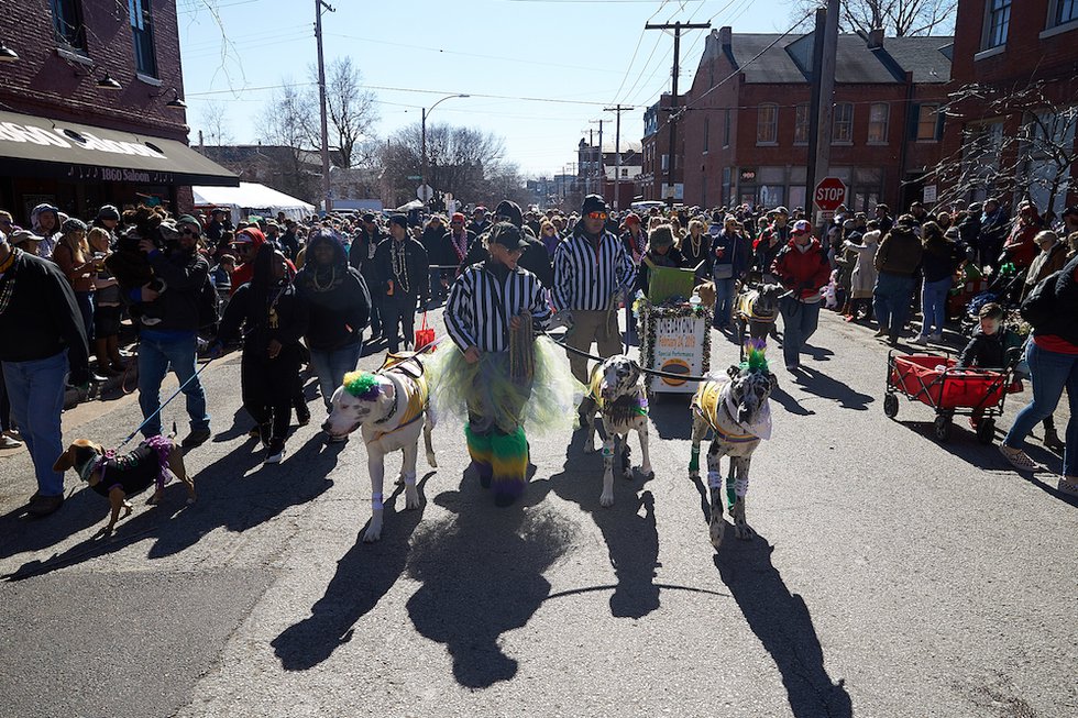 This weekend’s Mardi Gras festivities in Soulard center around food, family, and furry friends