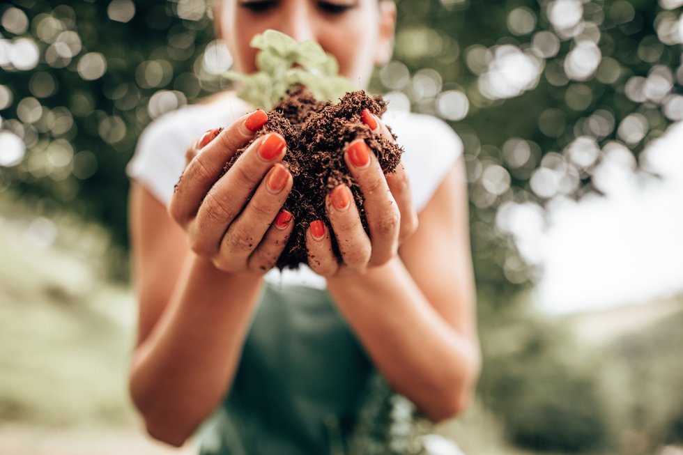 Want to lead a more eco-friendly and sustainable life? These St. Louis resources can help