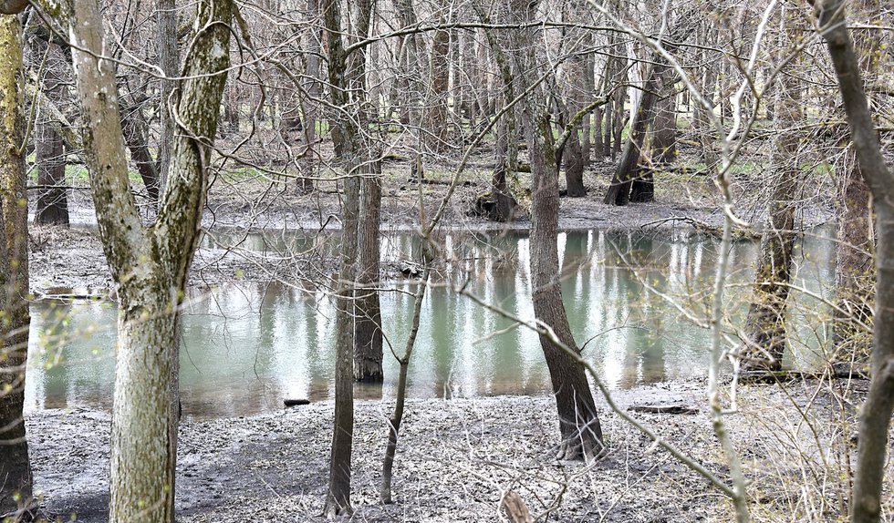 Sangamon%20riveeAPRIL%202022_7694.jpg