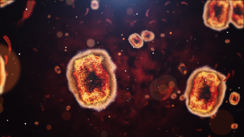Cases of monkeypox in St. Louis remain low. Here’s what you need to know about the virus