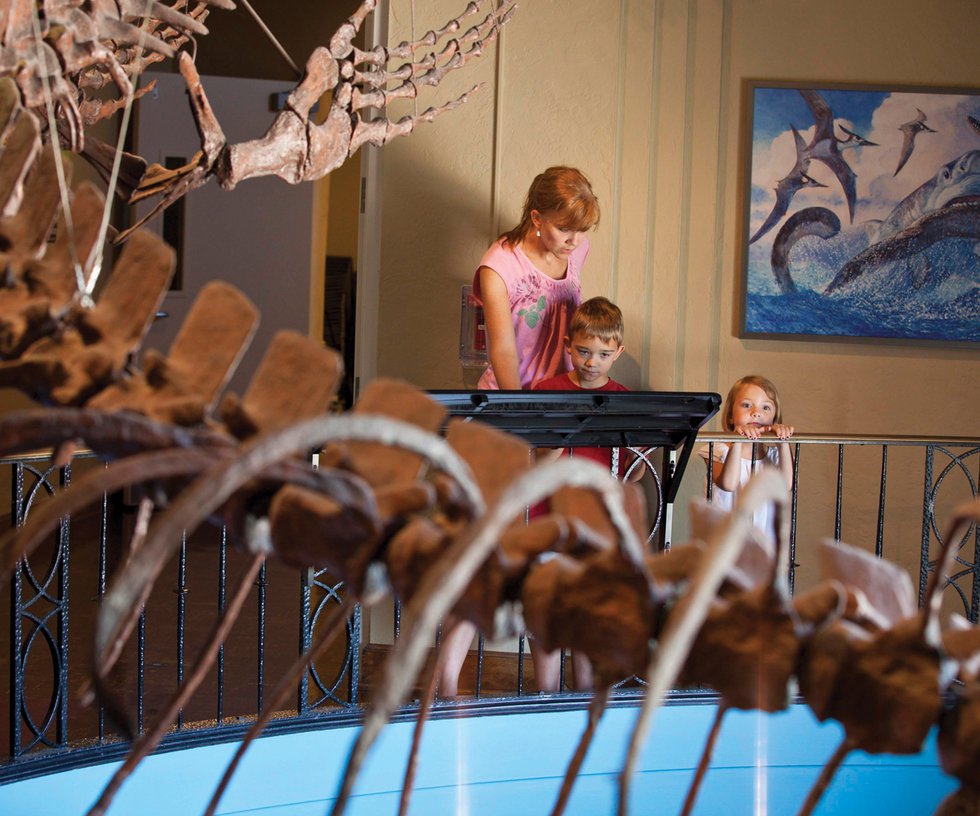 ku-natural-history-museum-2.jpg