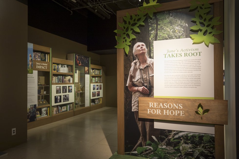 22_Becoming%20Jane%20Exhibit_20191204_0015_cr_Rebecca%20Hale.jpg