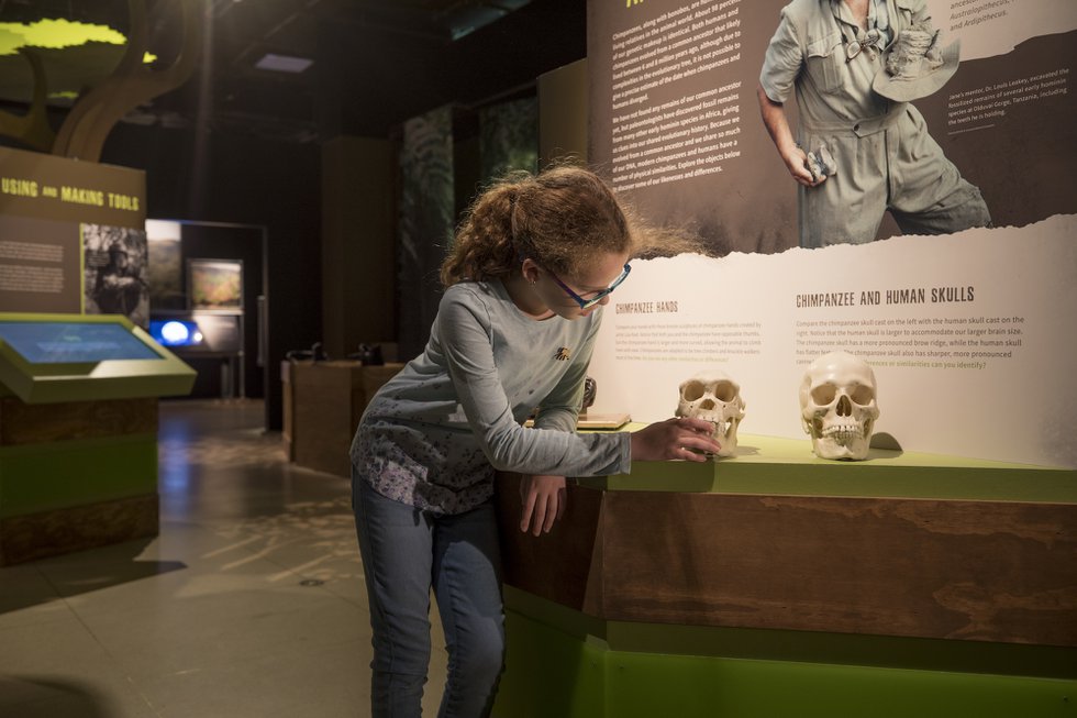 14_Becoming%20Jane%20Exhibit_20191204_0036_cr_Rebecca%20Hale.jpg