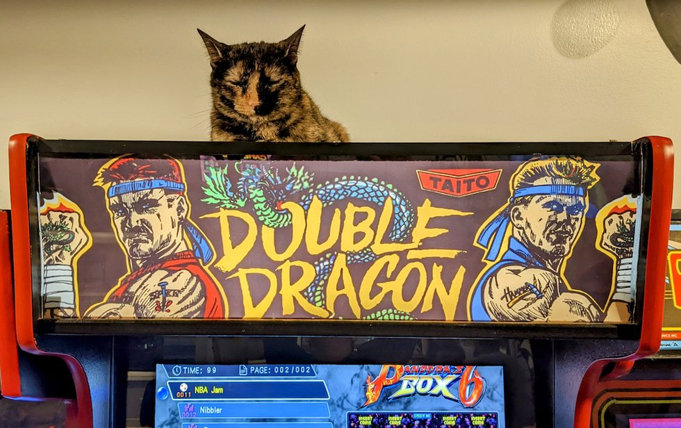 CatCade-SBC.jpg