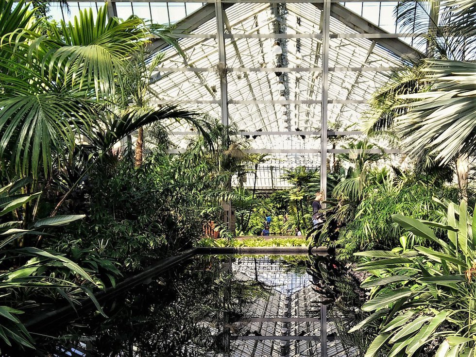 GarfieldPark-SBC.jpg