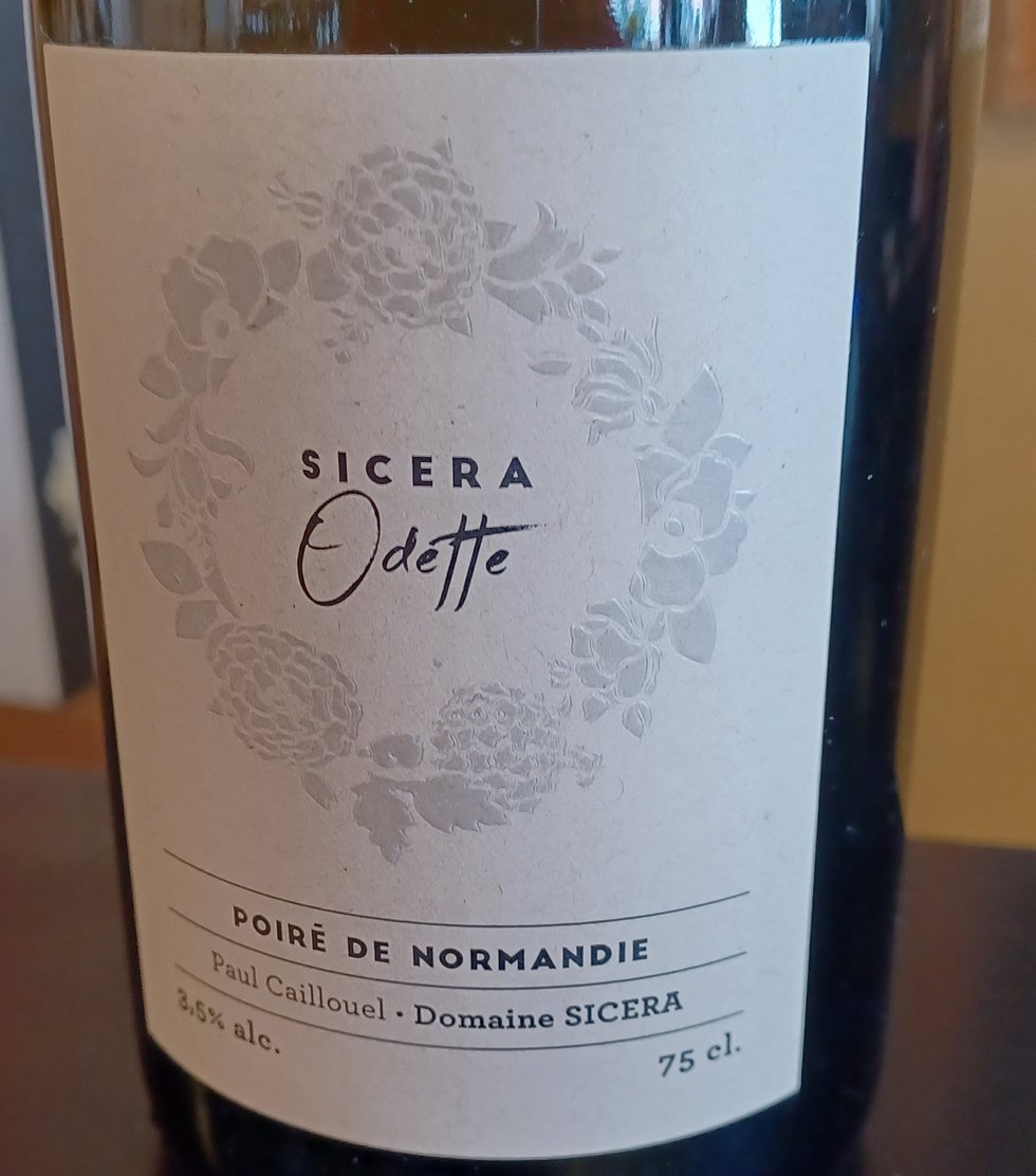 Bubbles%20-%20Simon%20from%20Parkers%20-%20Sicera%20Cider_crop.jpg
